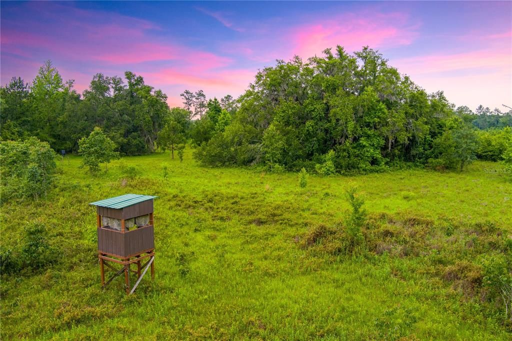 На продажу: $694,000 (84.00 acres)