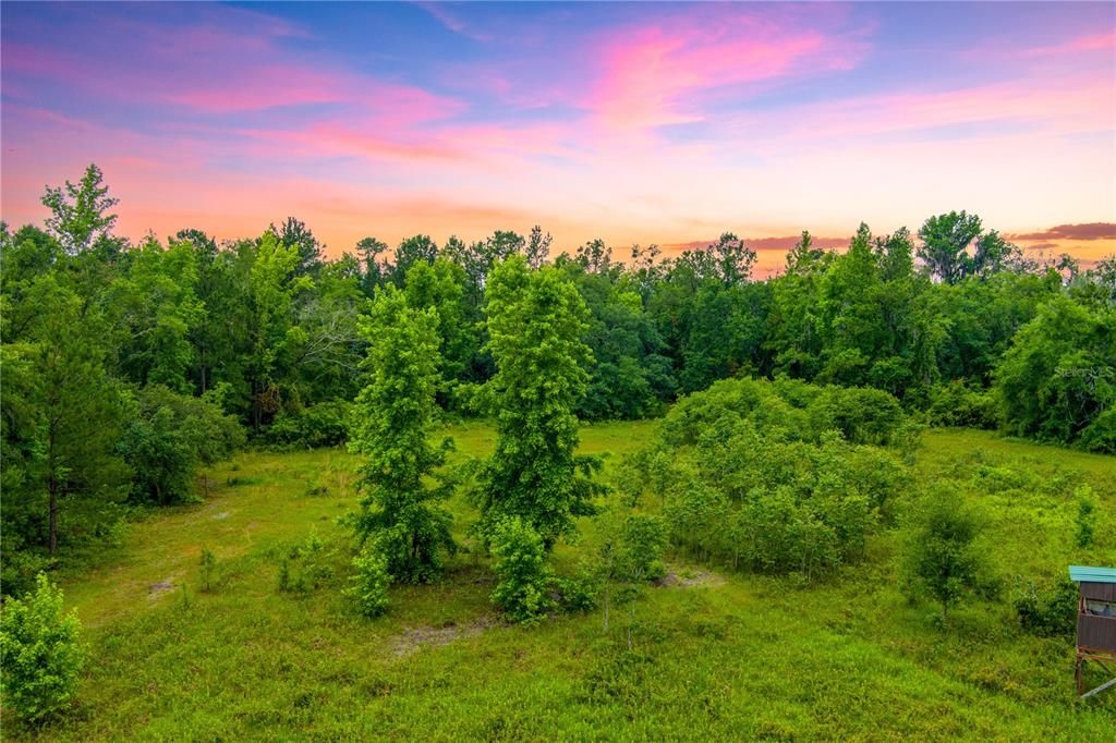 На продажу: $694,000 (84.00 acres)