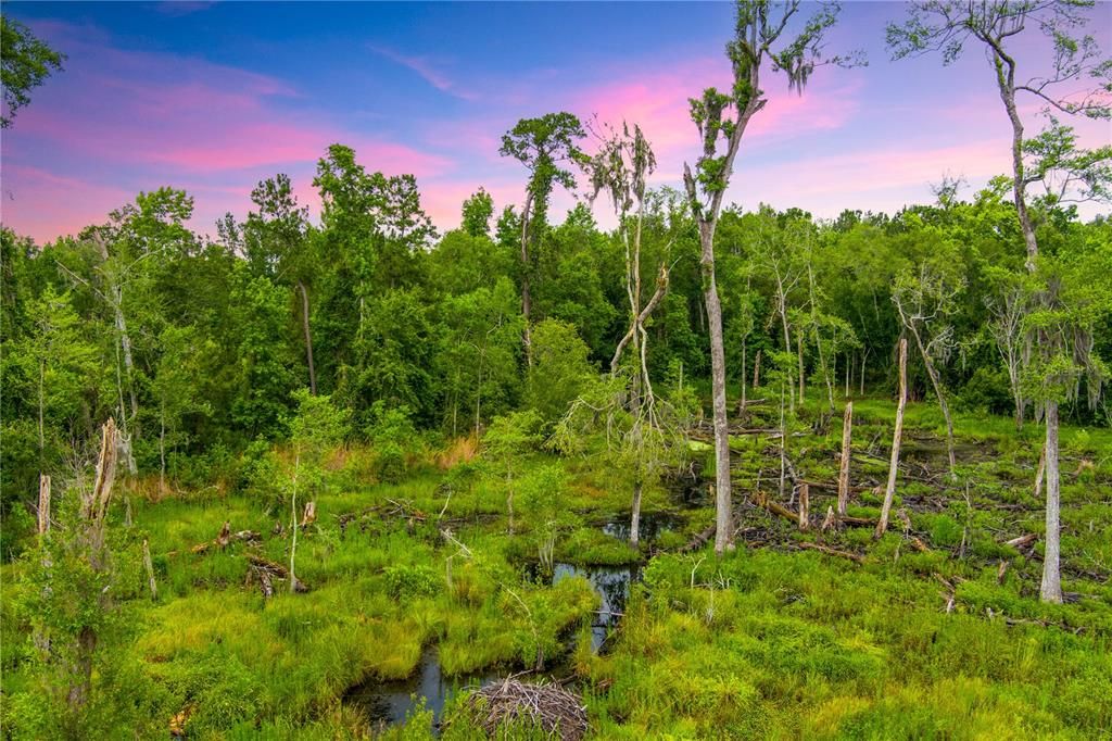 На продажу: $694,000 (84.00 acres)