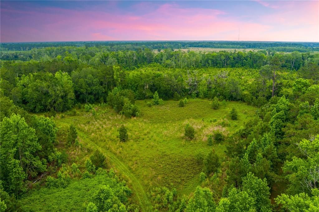 For Sale: $694,000 (84.00 acres)