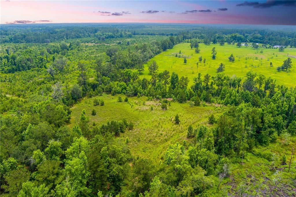 На продажу: $694,000 (84.00 acres)