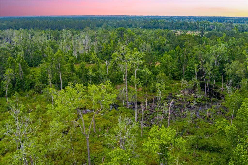 На продажу: $694,000 (84.00 acres)