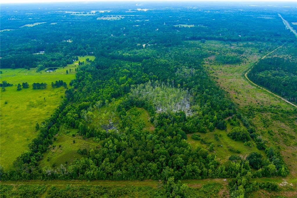 На продажу: $694,000 (84.00 acres)