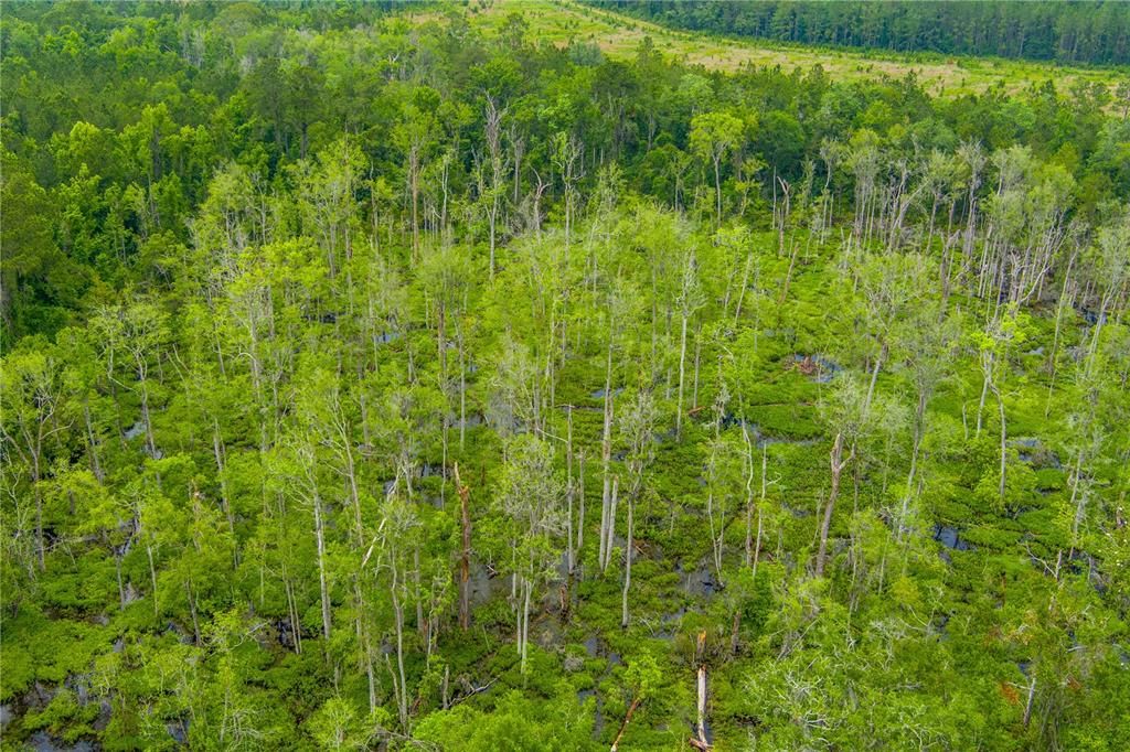 На продажу: $694,000 (84.00 acres)