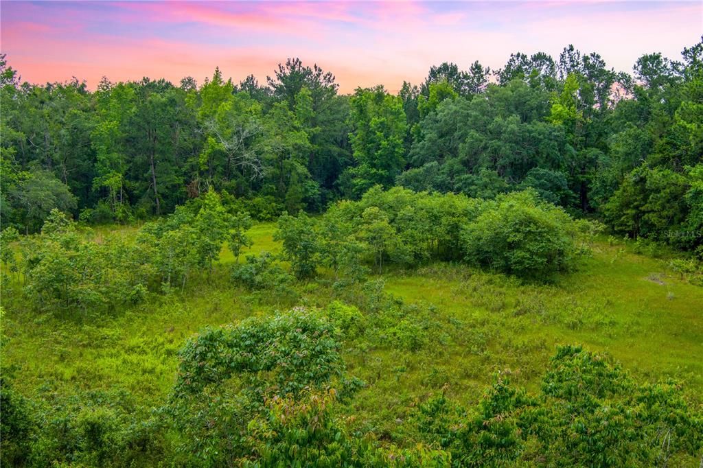 На продажу: $694,000 (84.00 acres)