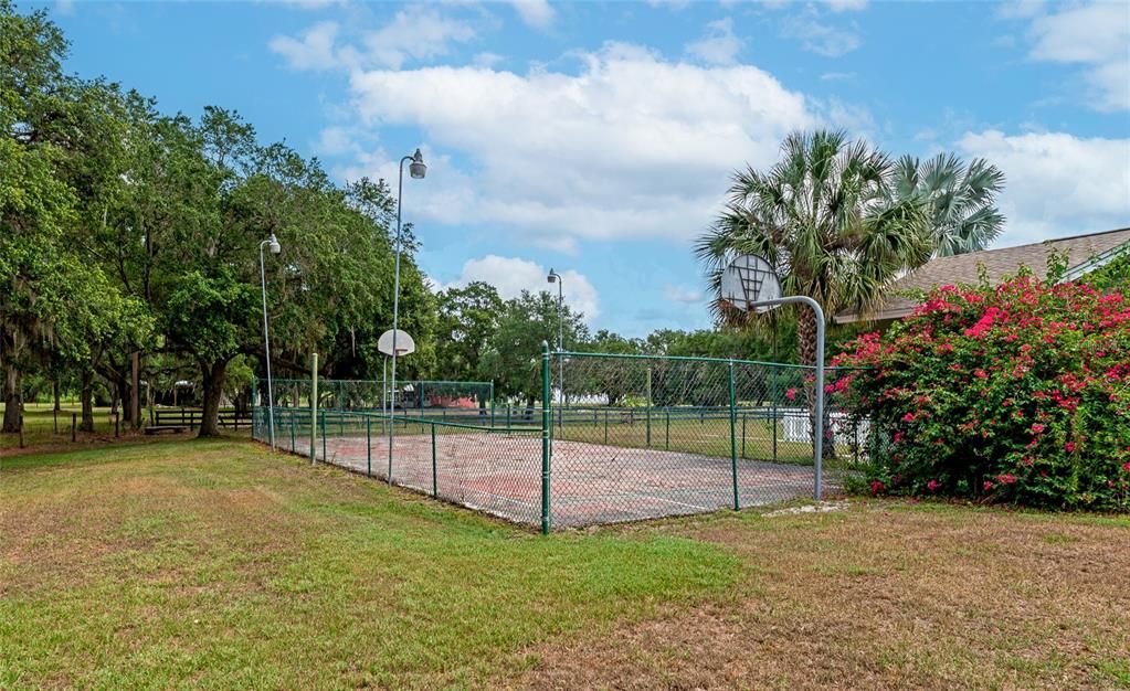 Basketball court