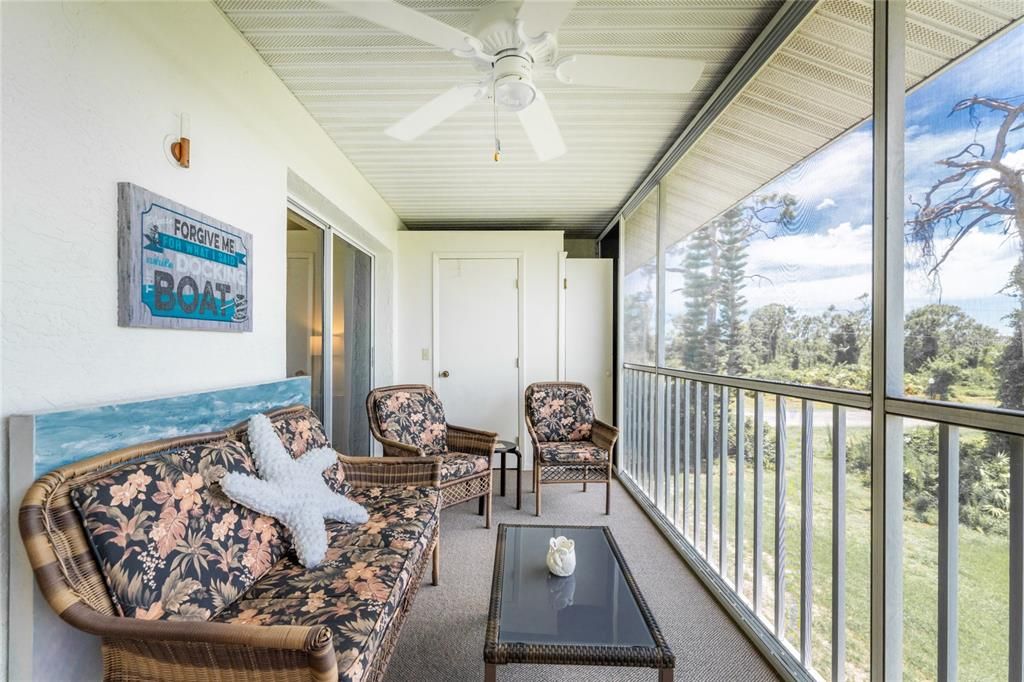 Another view of the lanai, with two closets for some extra storage!