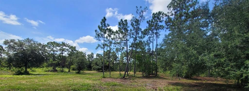 For Sale: $259,999 (2.88 acres)