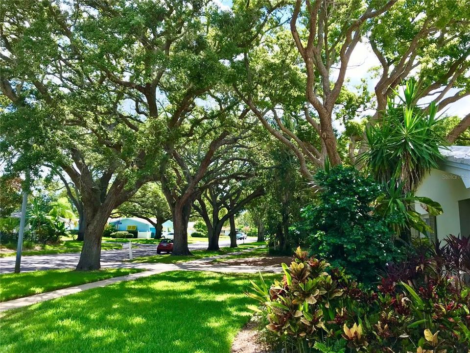 Active With Contract: $490,000 (3 beds, 2 baths, 1969 Square Feet)