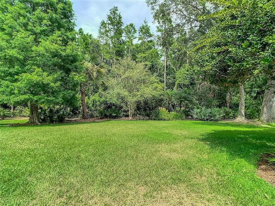 Expansive back yard with conservation view.