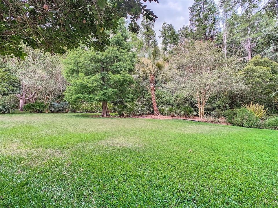 Nearly 1/3 acre for your enjoyment!