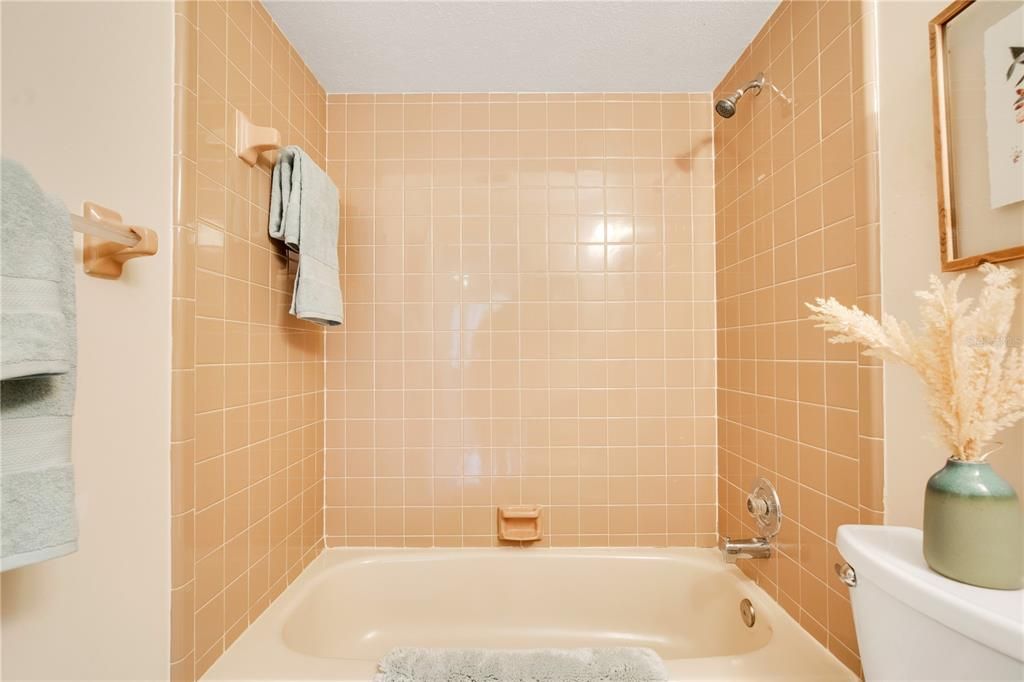 Primary Bathroom w/ Tub and Shower Combo