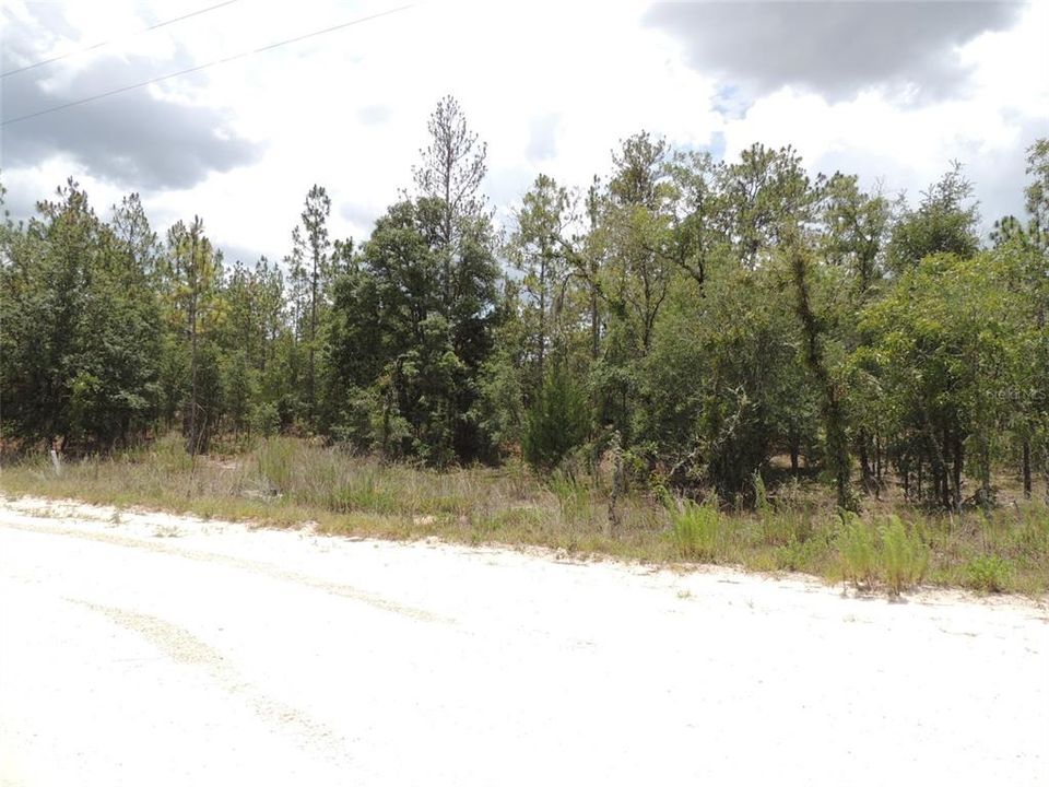 En Venta: $28,000 (1.25 acres)