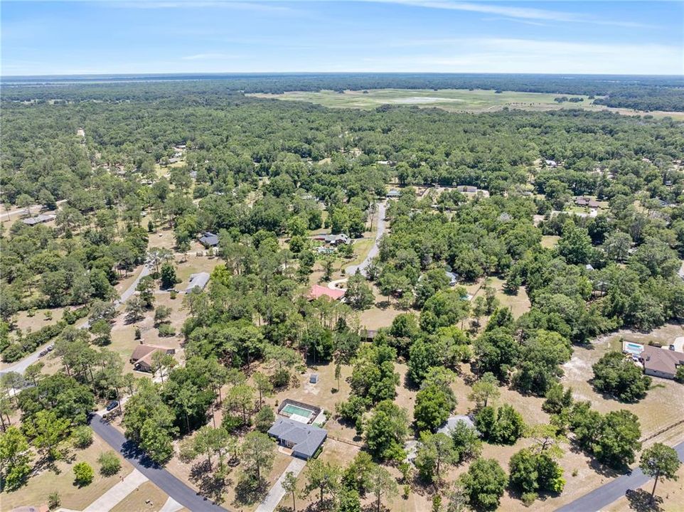 Facing South from the Neighborhood Looking Out to Kanapaha Prairie