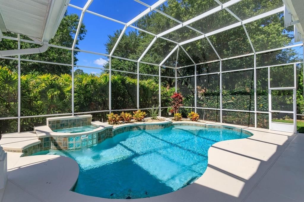 Pool and screened patio