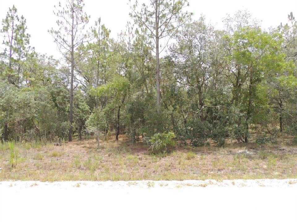 Recently Sold: $28,000 (1.25 acres)