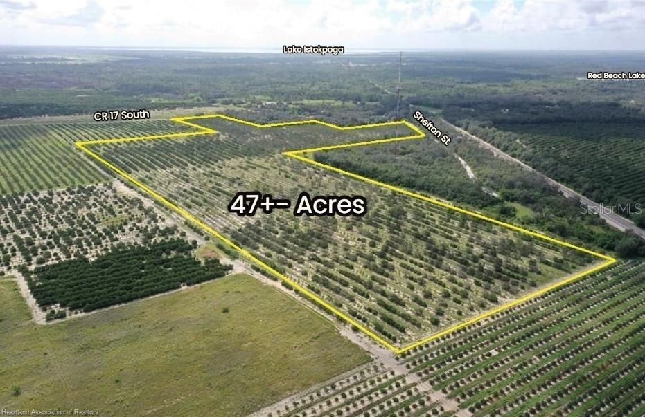 For Sale: $706,800 (47.12 acres)