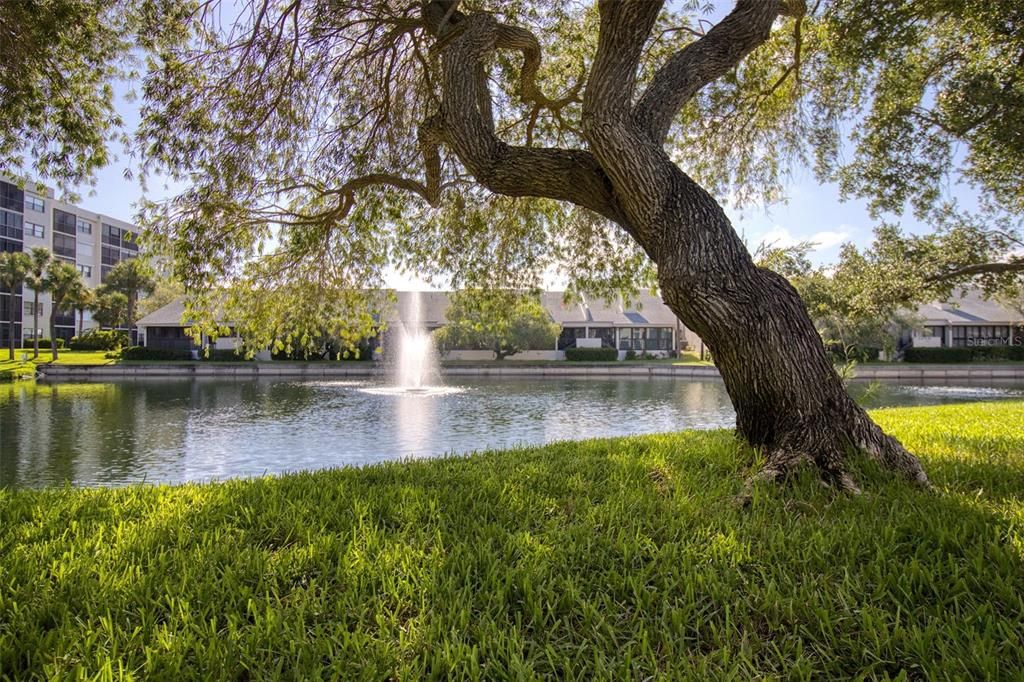 Active With Contract: $389,000 (2 beds, 2 baths, 1170 Square Feet)