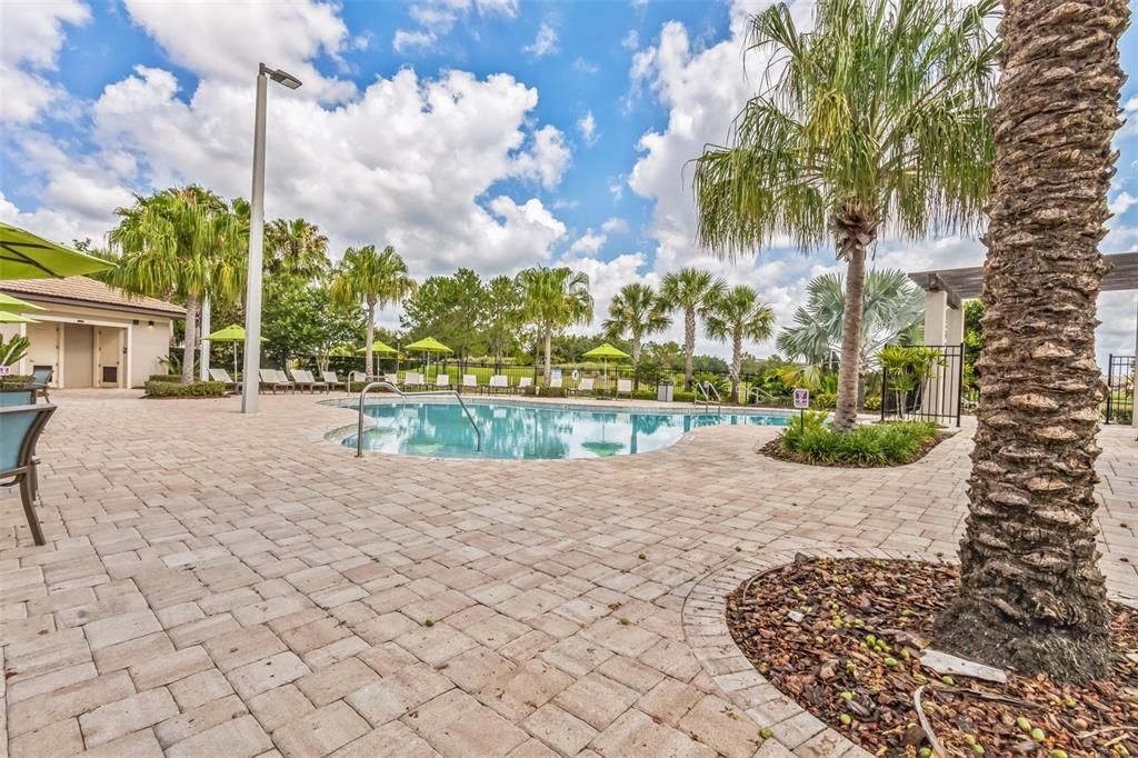 Resort Style Pool