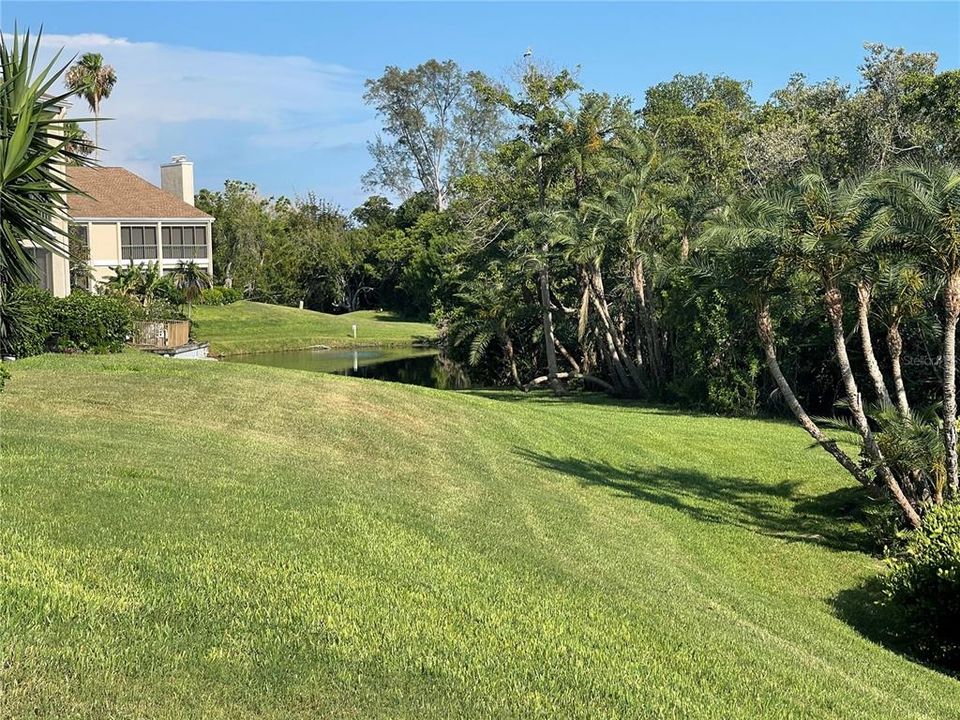 Backyard looking East