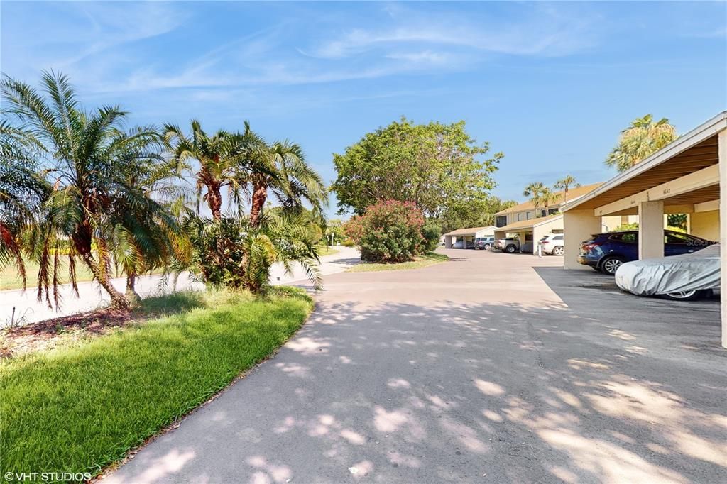 Looking East from the carport