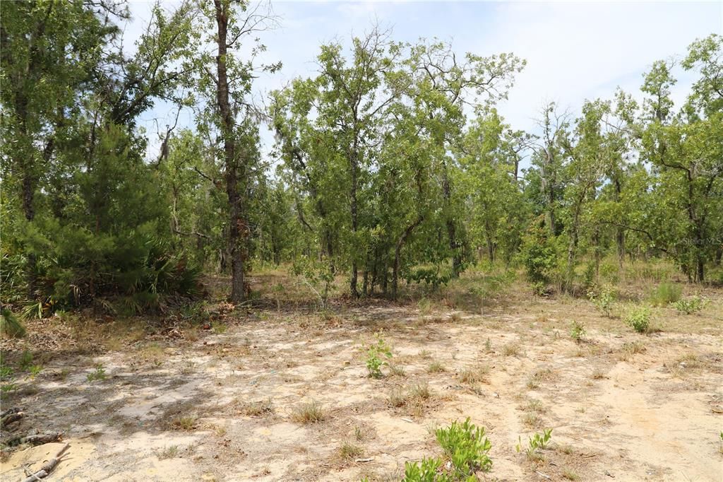 For Sale: $6,000 (0.28 acres)