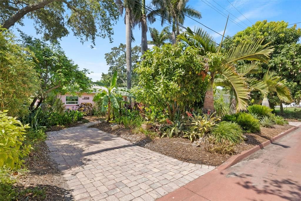 Step outside into a natural paradise featuring lots of Florida Native species.