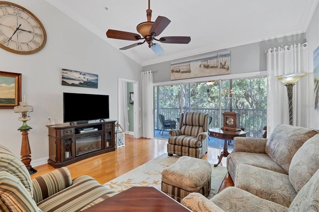 Private preserve view from living room