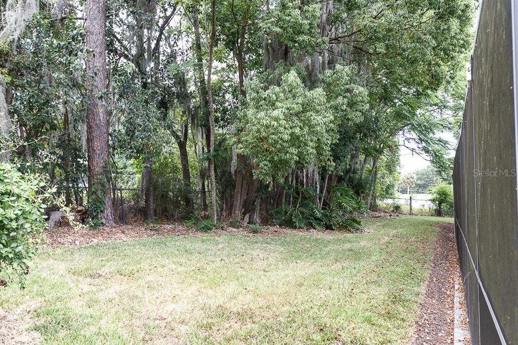 Wooded area in Backyard