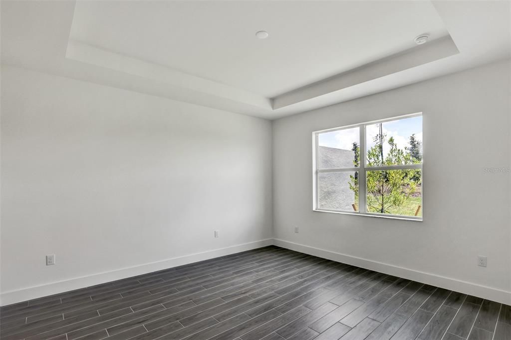 Primary bedroom suite with tray ceiling