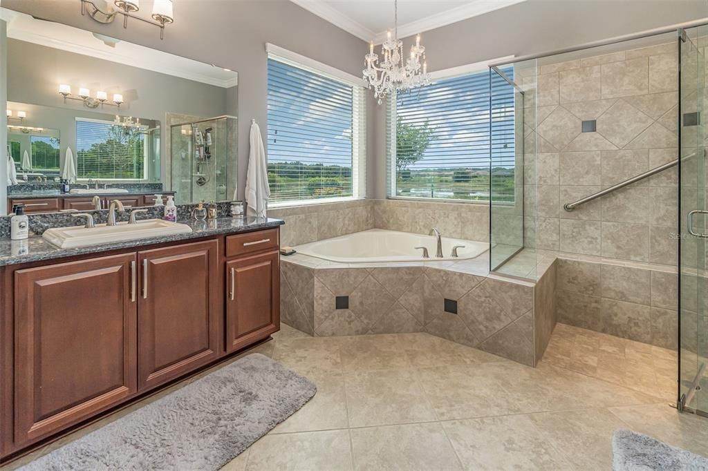 Crystal Chandelier over tub