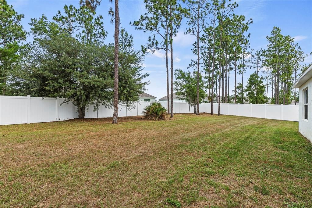 Spacious Fenced-In Backyard