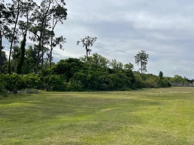 View from the Lake front back up the Property. Conservation Area to the West of the Property