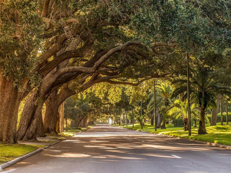 Stroll down the oak filled streets and enjoy the fresh, salty breeze!
