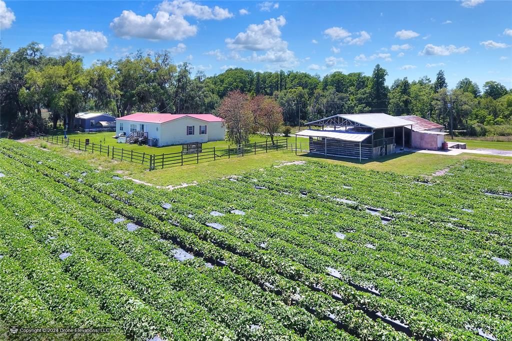 На продажу: $1,100,000 (24.24 acres)