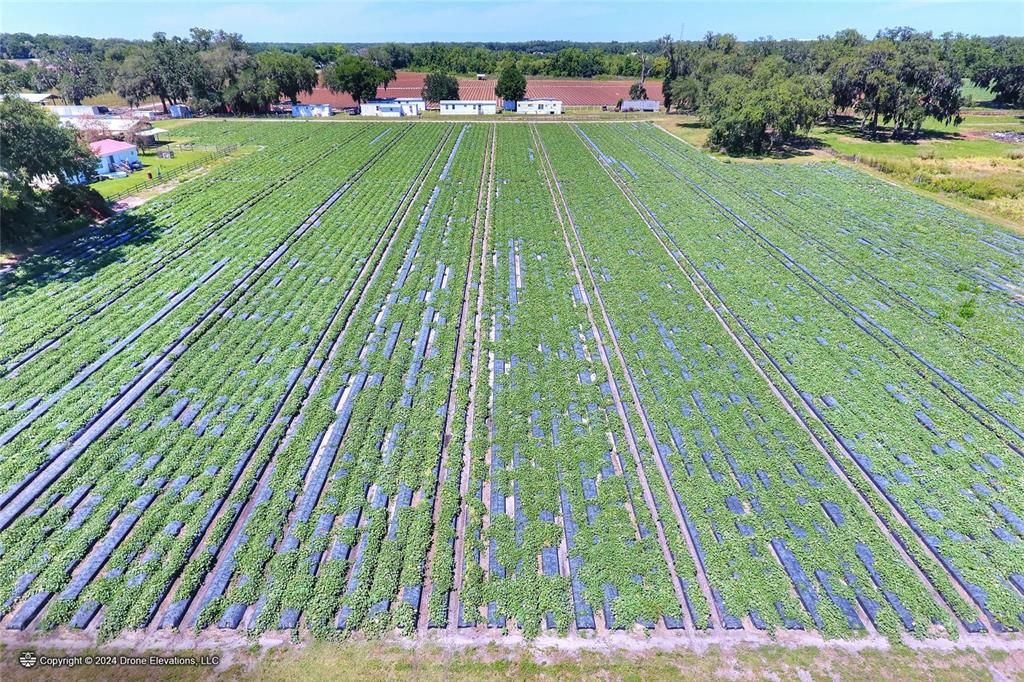 На продажу: $1,100,000 (24.24 acres)