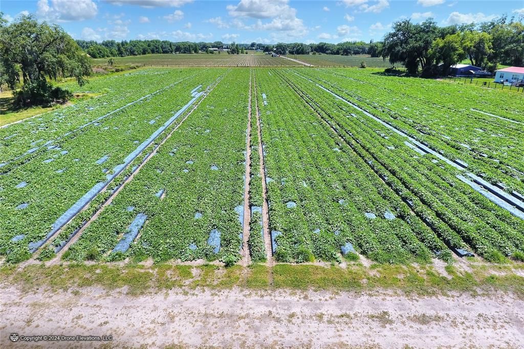 На продажу: $1,100,000 (24.24 acres)