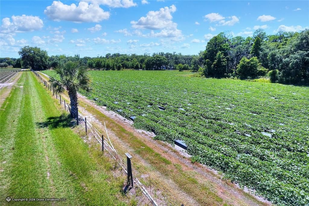 For Sale: $1,100,000 (24.24 acres)