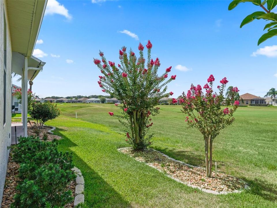 Exceptional Golf Course View!