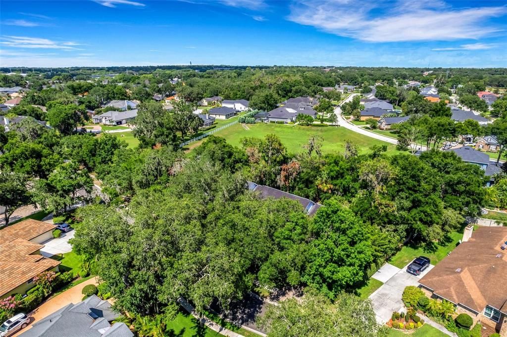 The aerial shows just how beautiful the trees in this part of Christina really are.