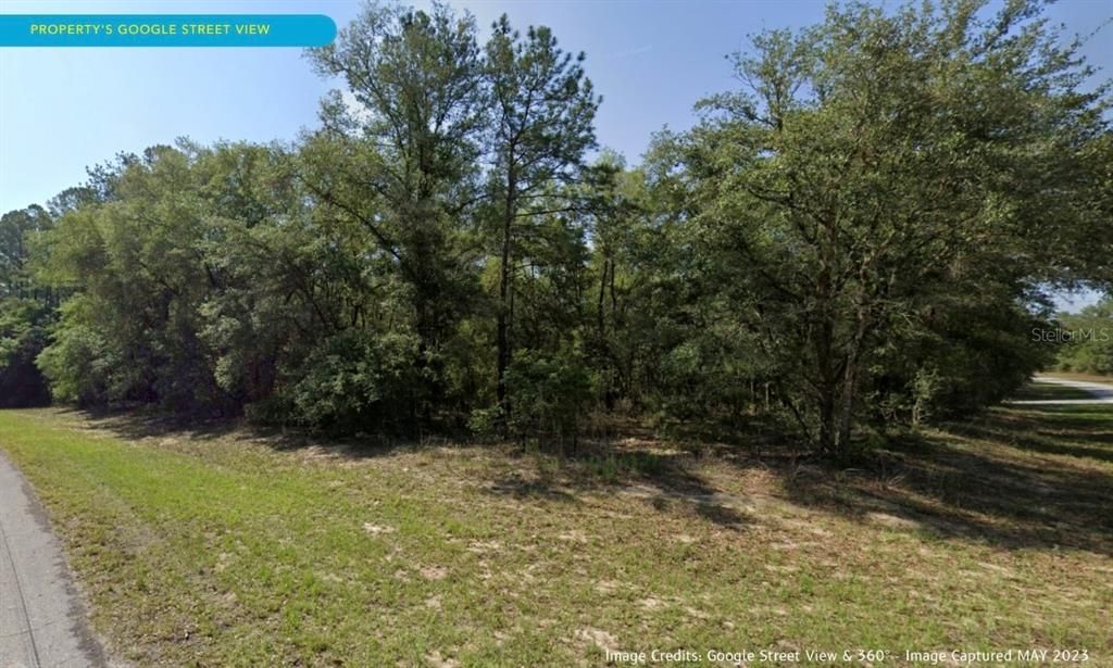 For Sale: $17,000 (0.31 acres)