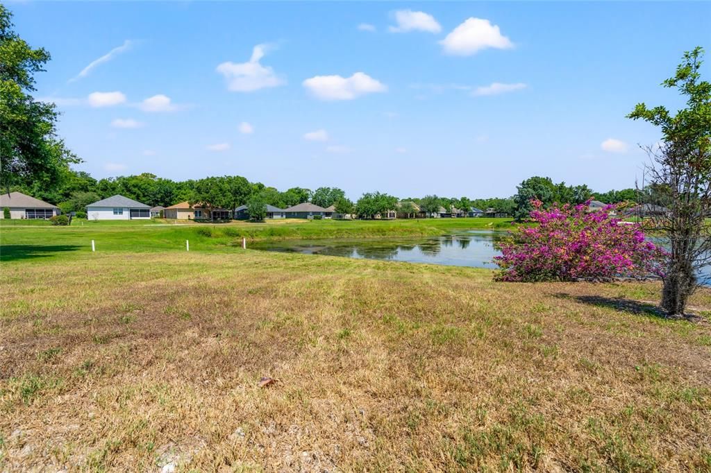 Backyard and Pond