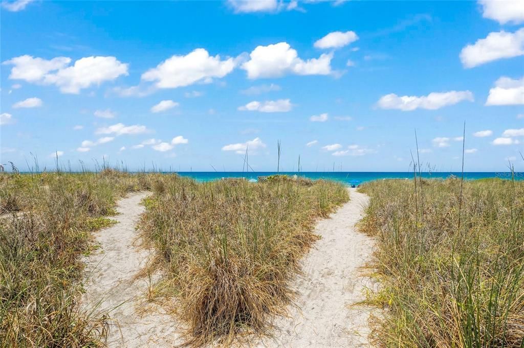 Sea Oats and a naturalized beach buffer.