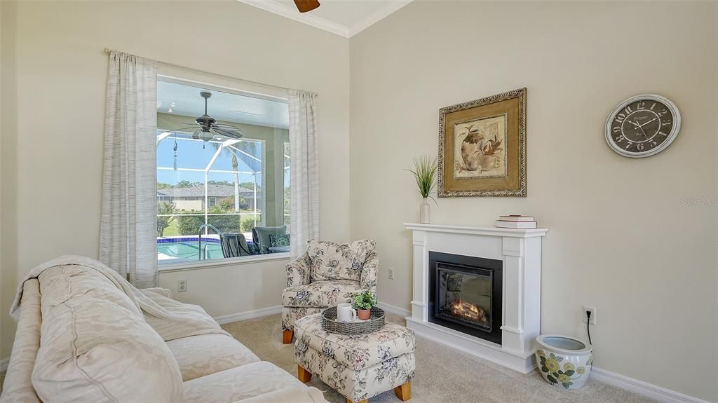 Living Room with electric fireplace