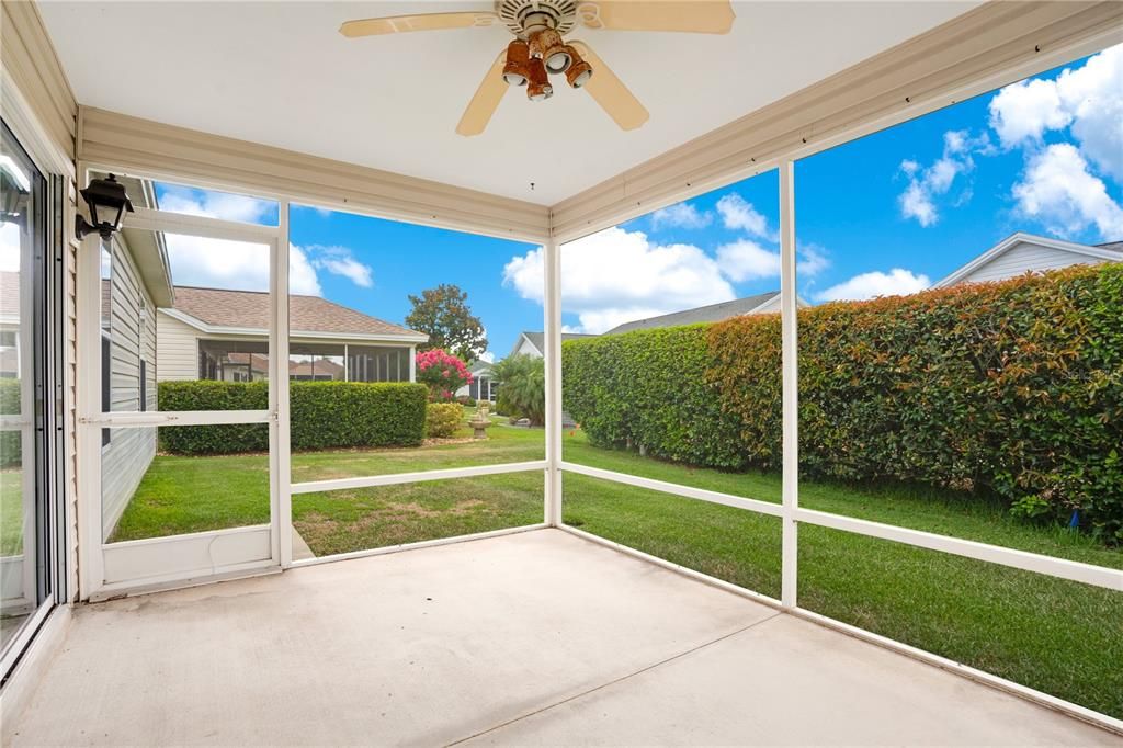 Screened Back Porch and Tall Privacy Hedges