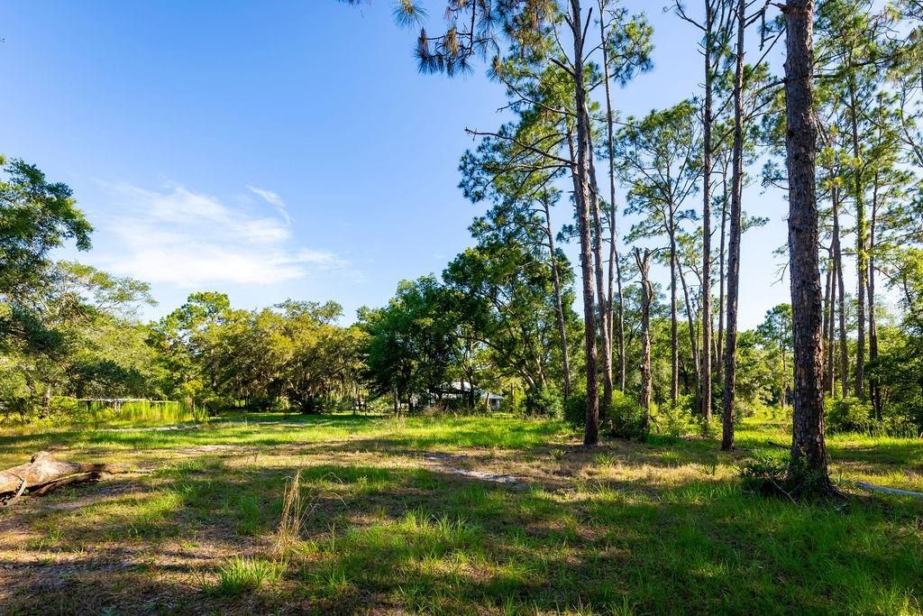 Active With Contract: $479,000 (3 beds, 3 baths, 2048 Square Feet)