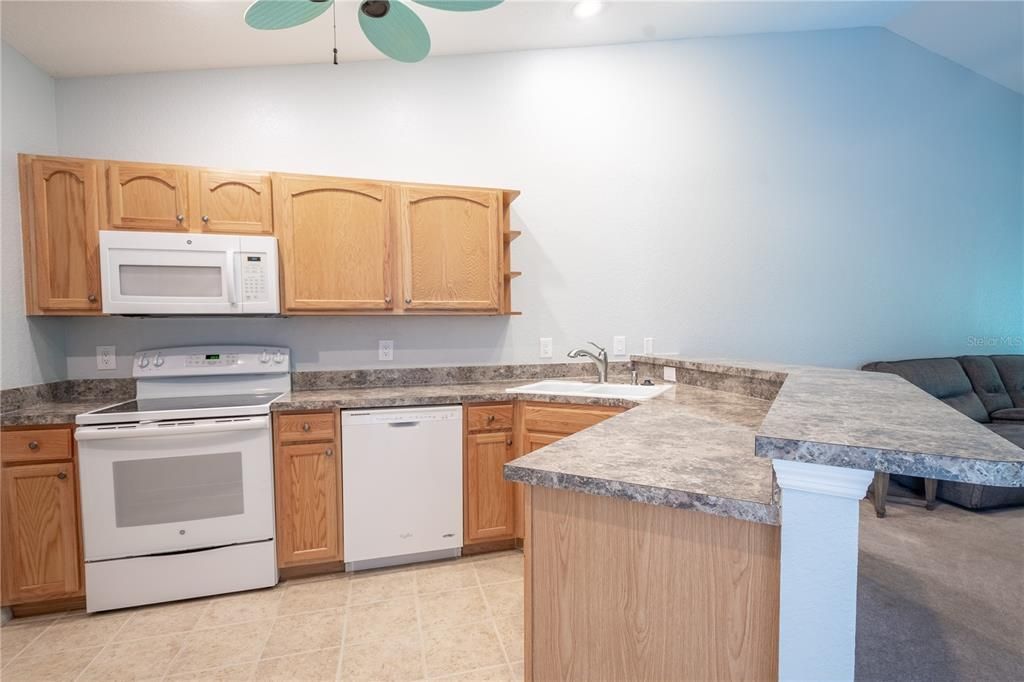 The kitchen features wood cabinets and solid surface countertops.