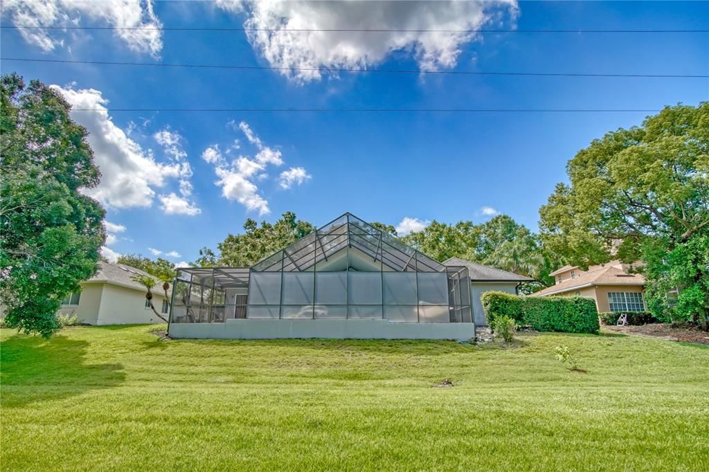 Backyard privacy.