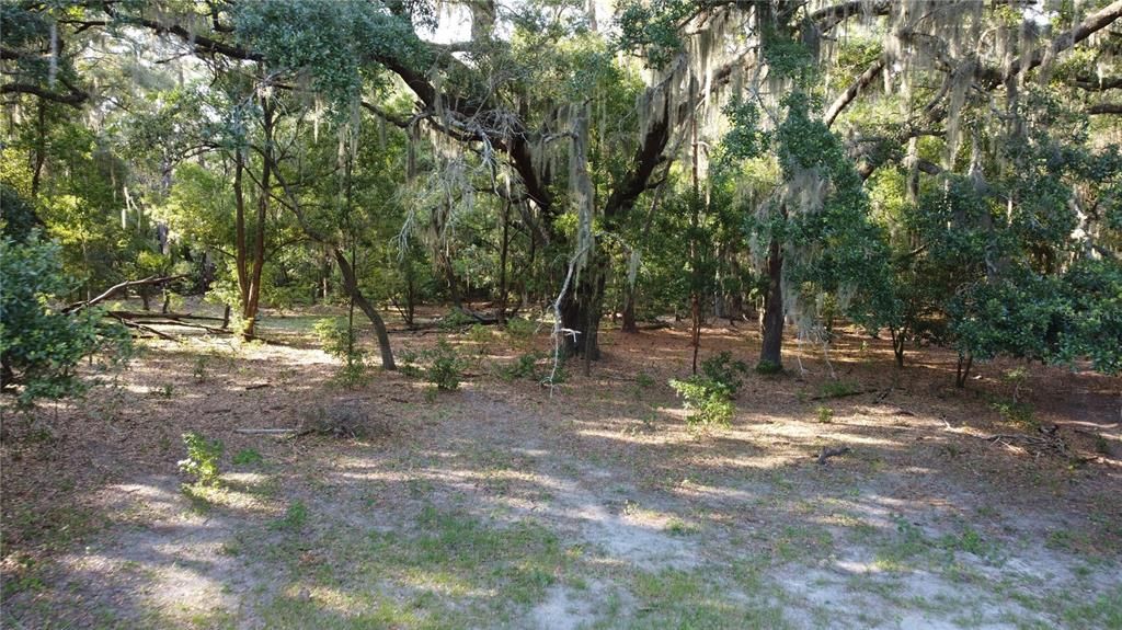 For Sale: $1,265,000 (18.10 acres)