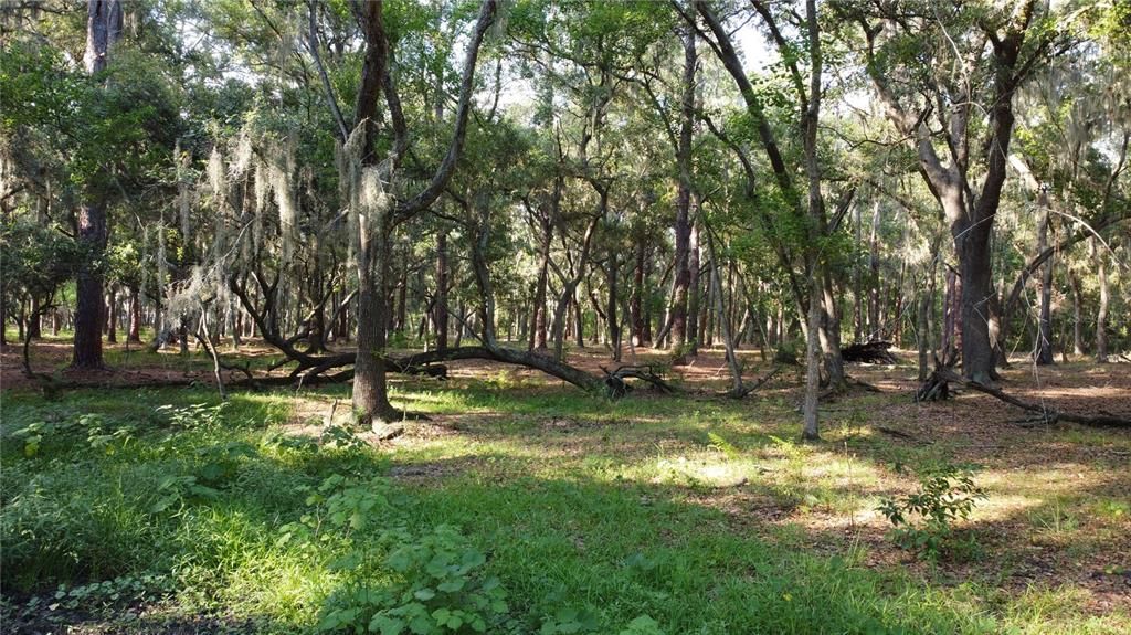 For Sale: $1,265,000 (18.10 acres)